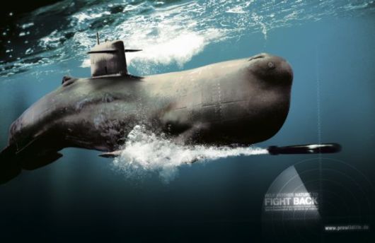 Effects of Global Warming