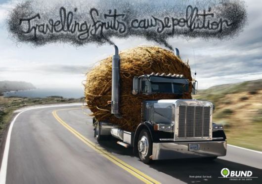 Effects of Global Warming