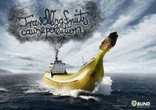 Effects of Global Warming