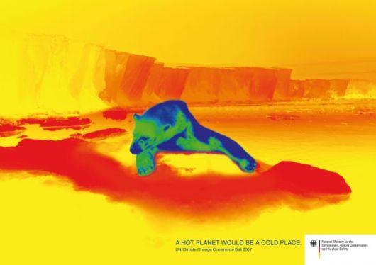 Effects of Global Warming