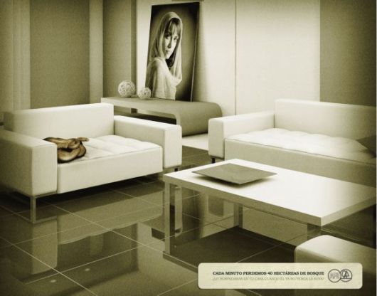 Effects of Global Warming