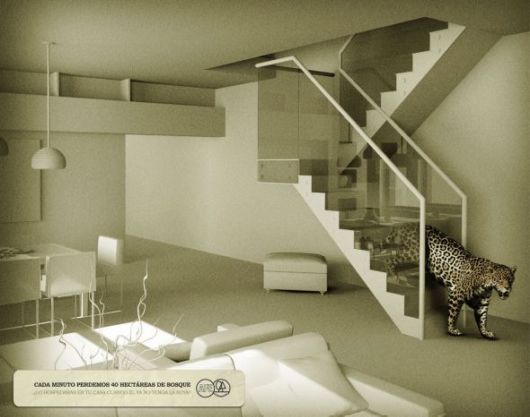 Effects of Global Warming