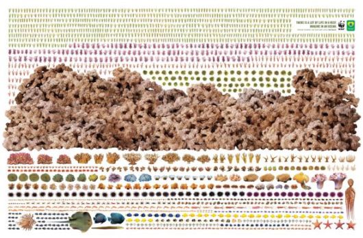 Effects of Global Warming