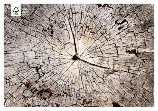 Effects of Global Warming