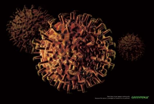 Effects of Global Warming