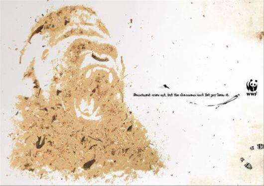 Effects of Global Warming