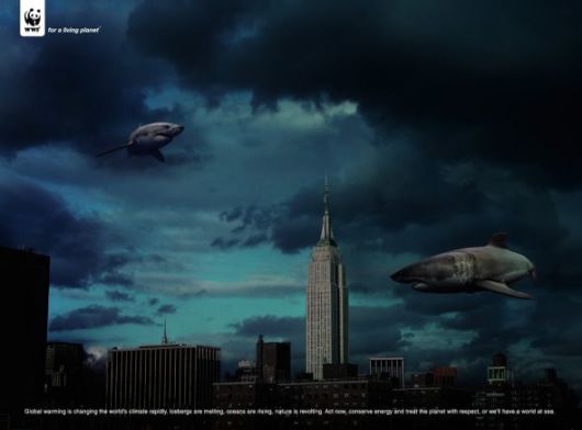 Effects of Global Warming