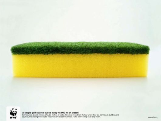 Effects of Global Warming