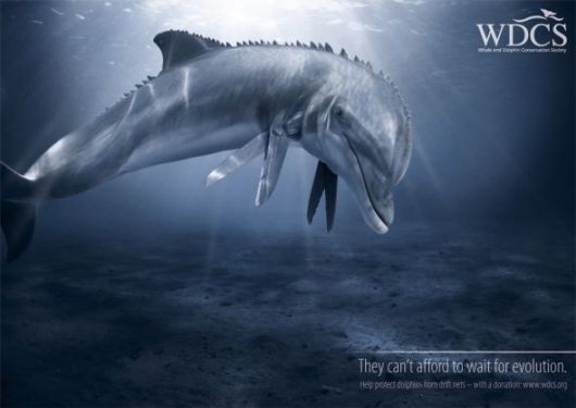 Effects of Global Warming