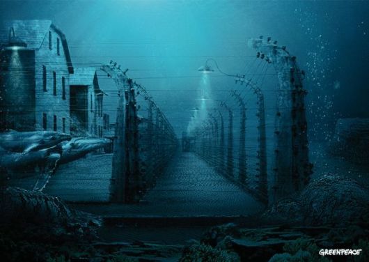 Effects of Global Warming