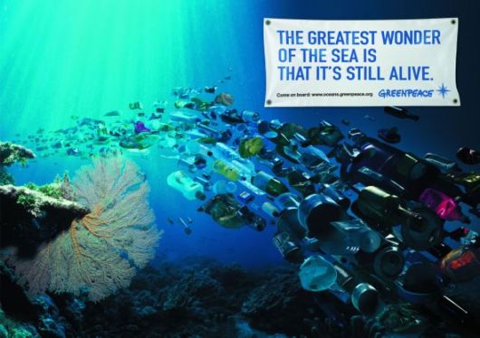 Effects of Global Warming