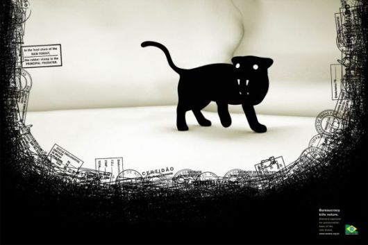 Effects of Global Warming