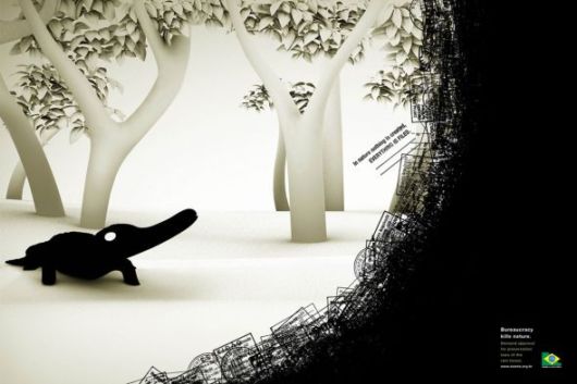 Effects of Global Warming