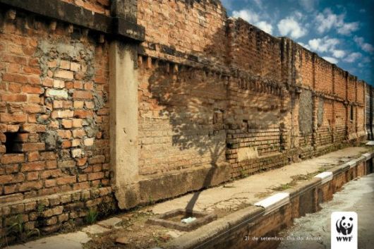 Effects of Global Warming