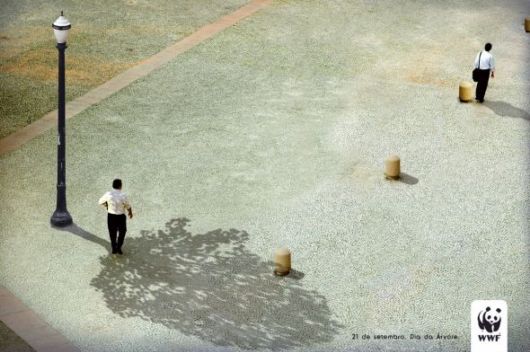 Effects of Global Warming