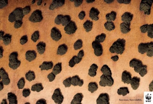 Effects of Global Warming