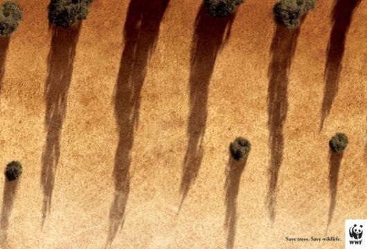 Effects of Global Warming