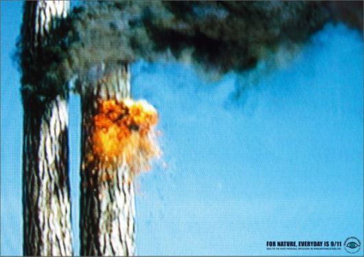 Effects of Global Warming