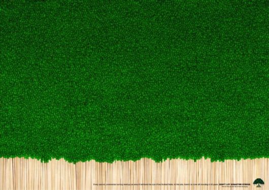 Effects of Global Warming