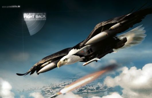 Effects of Global Warming