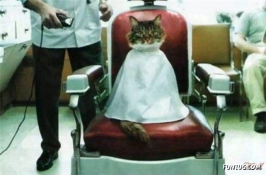 Just for Laugh Funny Pics