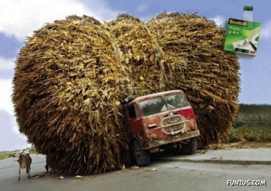 Skillful Masters of Transportation