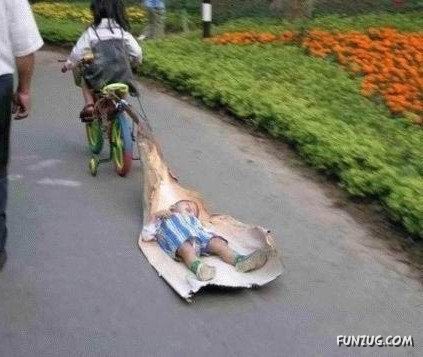 Skillful Masters of Transportation