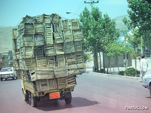 Skillful Masters of Transportation