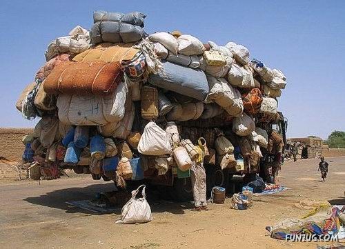 Skillful Masters of Transportation