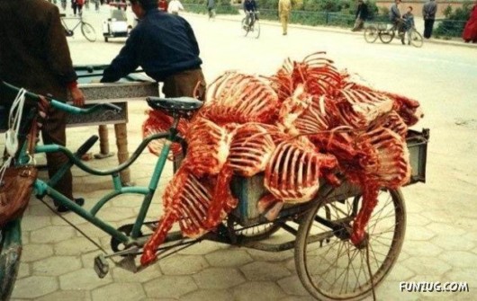 Skillful Masters of Transportation