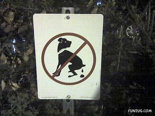 Notice Funny Signs Near You