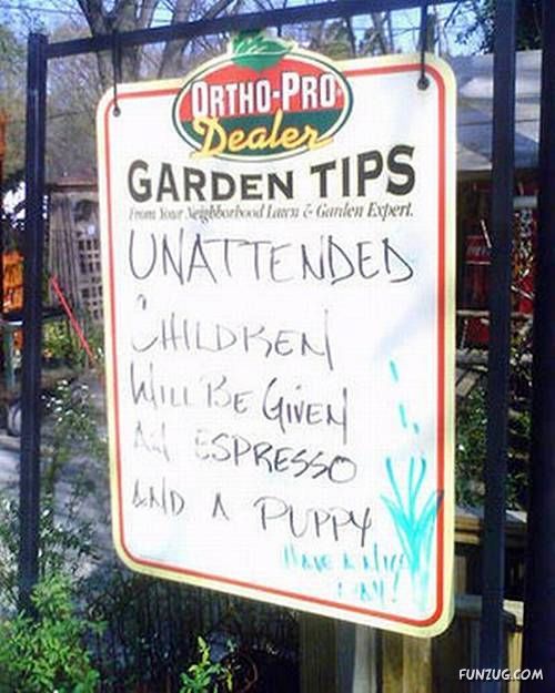 Notice Funny Signs Near You