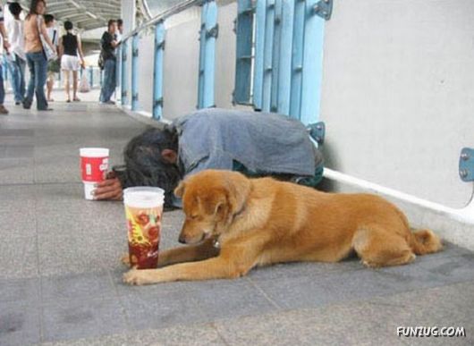 Professional Beggars Around the World