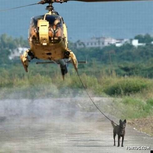 Some Unseen Funny Pictures