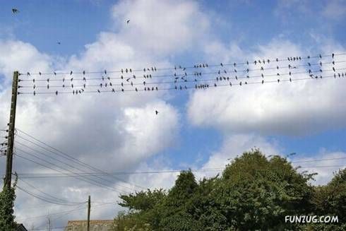 Some Unseen Funny Pictures