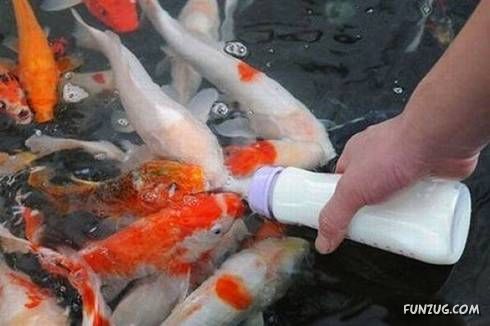 Some Unseen Funny Pictures