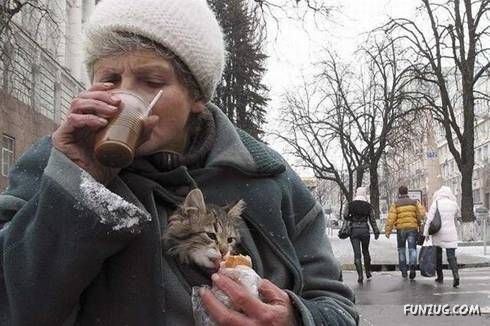 Some Unseen Funny Pictures