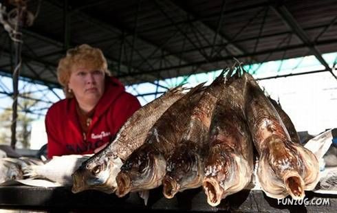 Some Unseen Funny Pictures