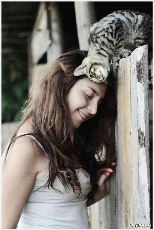 Cool Daily Pictures Dose