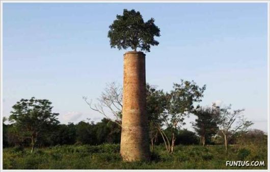 Cool Daily Pictures Dose