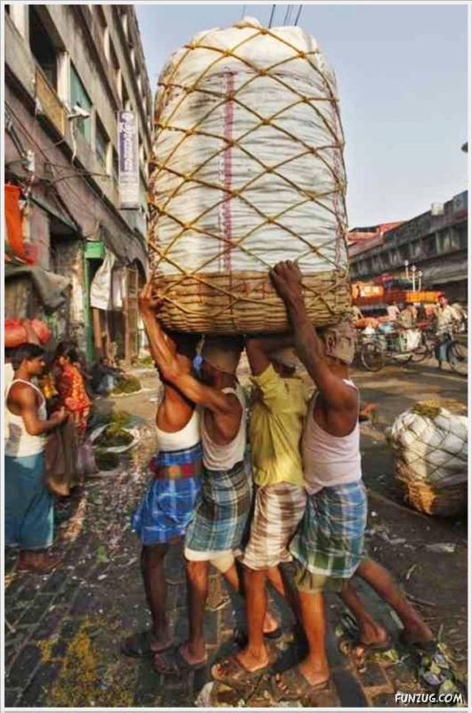 Cool Daily Pictures Dose