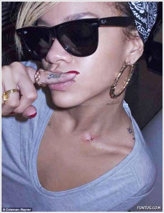 Cool Daily Pictures Dose