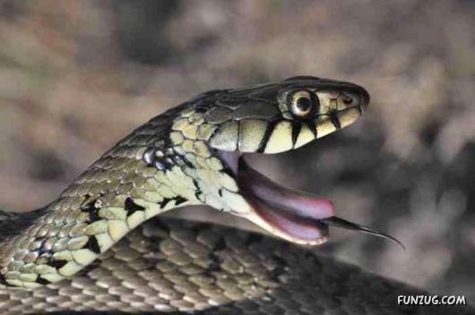 Cool Fun Pictures Of The Week