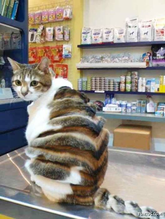 Cool Fun Pictures Of The Week