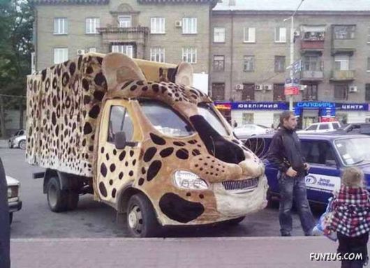 Cool Fun Pictures Of The Week