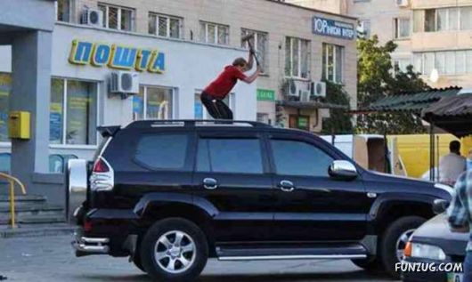 Cool Fun Pictures Of The Week