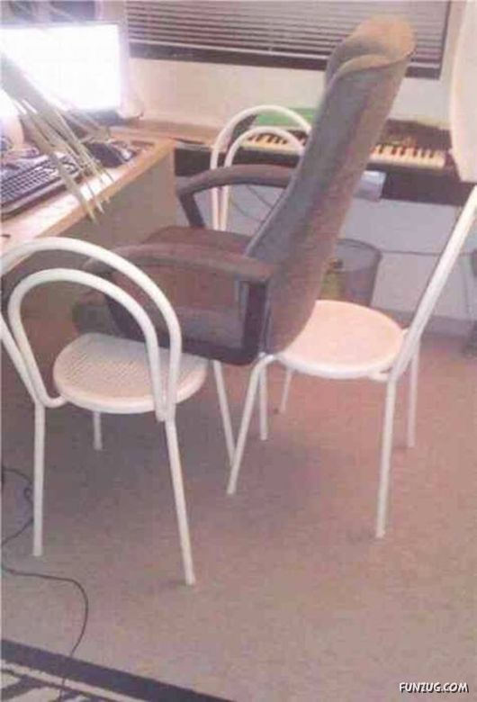 Cool Fun Pictures Of The Week