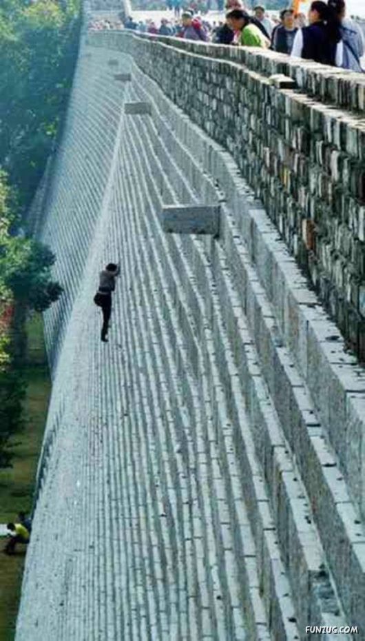 Cool Fun Pictures Of The Week