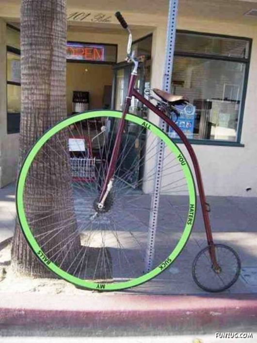 Cool Fun Pictures Of The Week