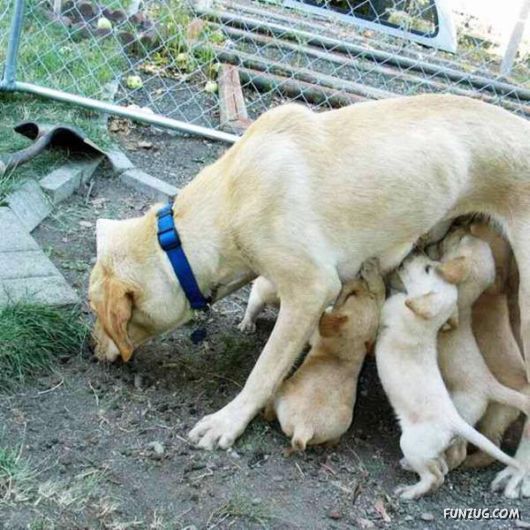 Cool Fun Pictures Of The Week